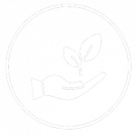 Soins capillaires naturels et emballages recyclables- Made in France