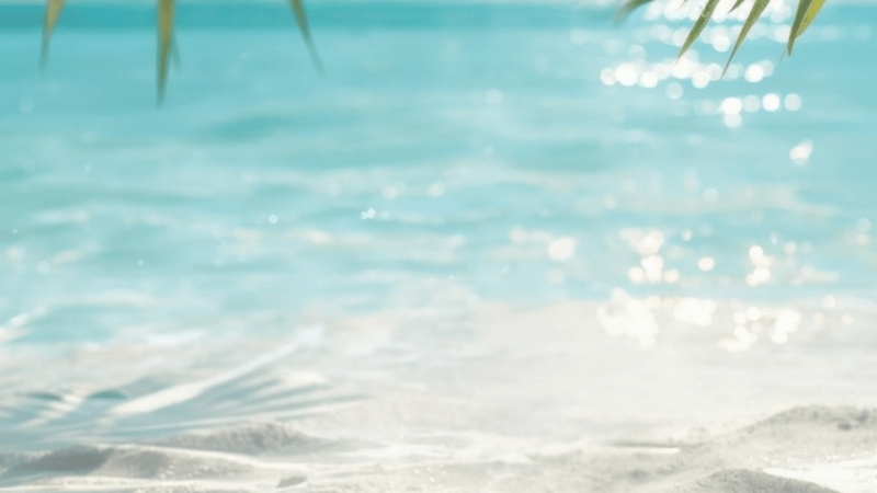 Univers Caribbean Fusion inspiré des Caraïbes pour soins capillaires naturels Pipeska